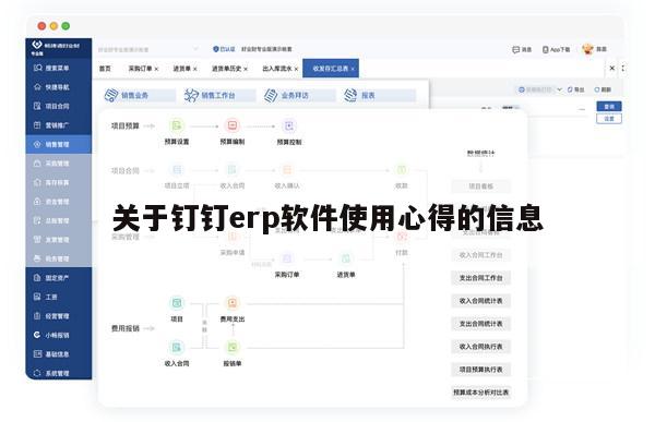 关于钉钉erp软件使用心得的信息