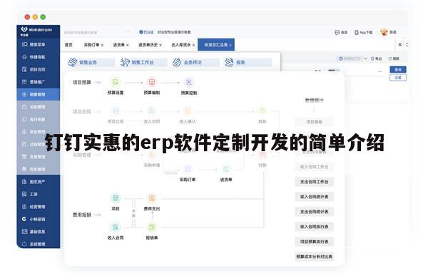 钉钉实惠的erp软件定制开发的简单介绍