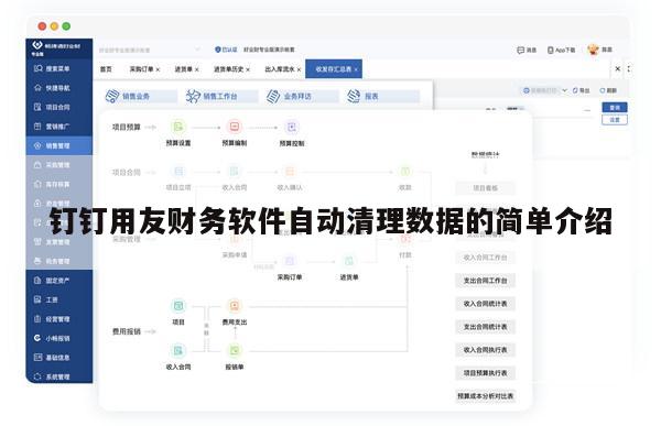 钉钉用友财务软件自动清理数据的简单介绍