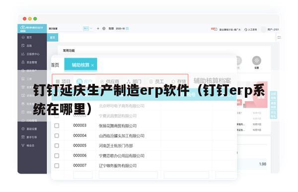 钉钉延庆生产制造erp软件（钉钉erp系统在哪里）