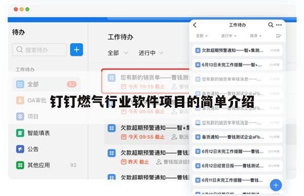 钉钉燃气行业软件项目的简单介绍