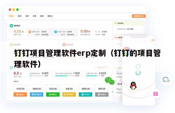 钉钉项目管理软件erp定制（钉钉的项目管理软件）