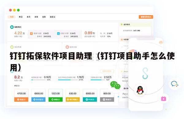 钉钉拓保软件项目助理（钉钉项目助手怎么使用）