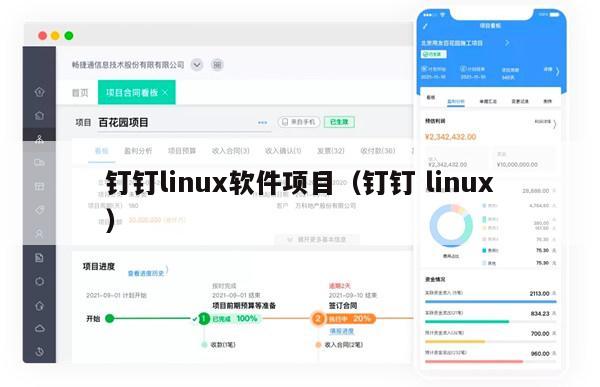 钉钉linux软件项目（钉钉 linux）