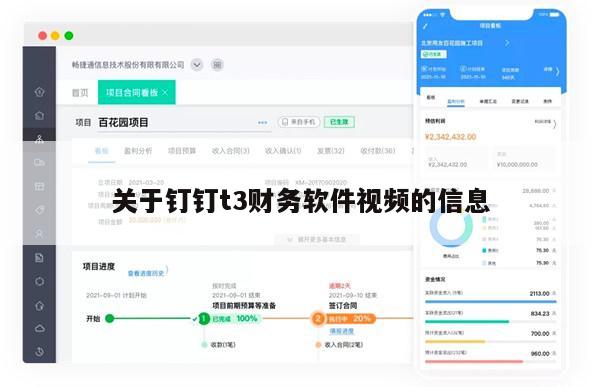 关于钉钉t3财务软件视频的信息