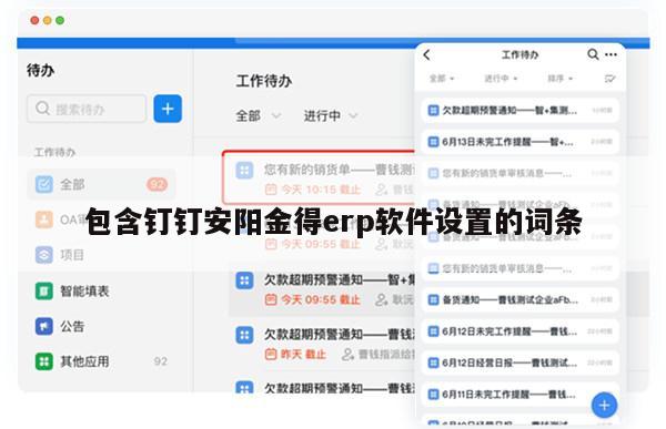 包含钉钉安阳金得erp软件设置的词条