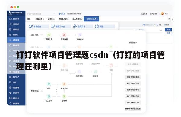 钉钉软件项目管理题csdn（钉钉的项目管理在哪里）