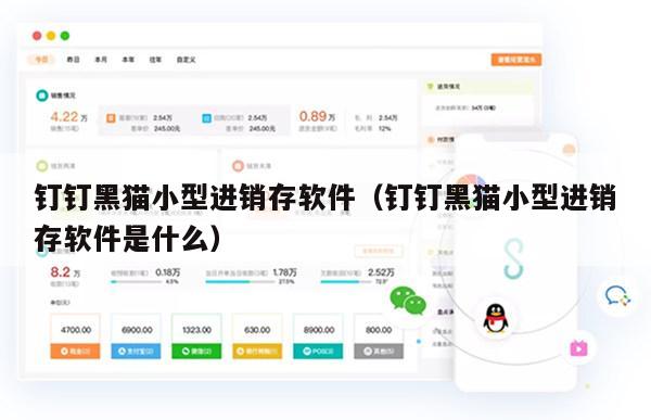 钉钉黑猫小型进销存软件（钉钉黑猫小型进销存软件是什么）