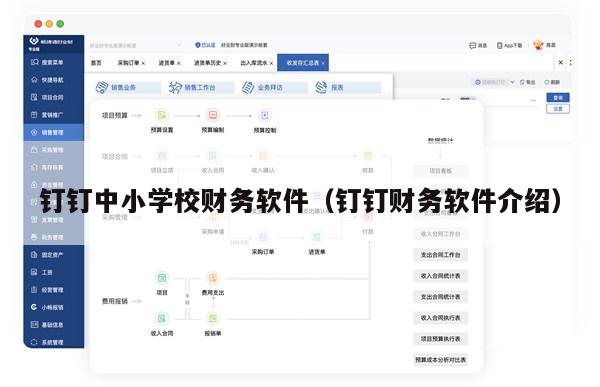 钉钉中小学校财务软件（钉钉财务软件介绍）