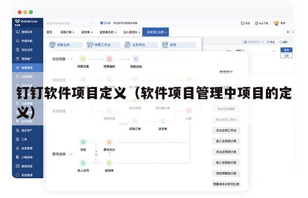 钉钉软件项目定义（软件项目管理中项目的定义）
