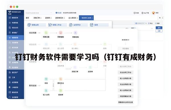 钉钉财务软件需要学习吗（钉钉有成财务）