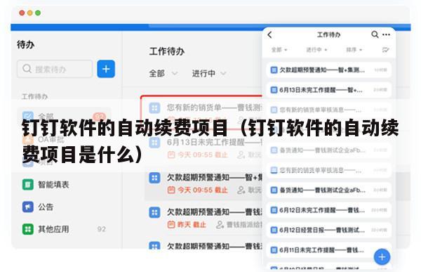 钉钉软件的自动续费项目（钉钉软件的自动续费项目是什么）