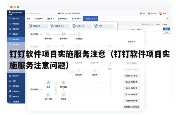 钉钉软件项目实施服务注意（钉钉软件项目实施服务注意问题）