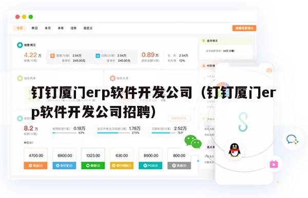 钉钉厦门erp软件开发公司（钉钉厦门erp软件开发公司招聘）