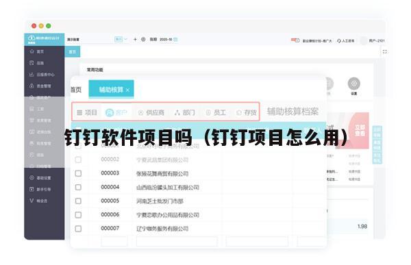 钉钉软件项目吗（钉钉项目怎么用）