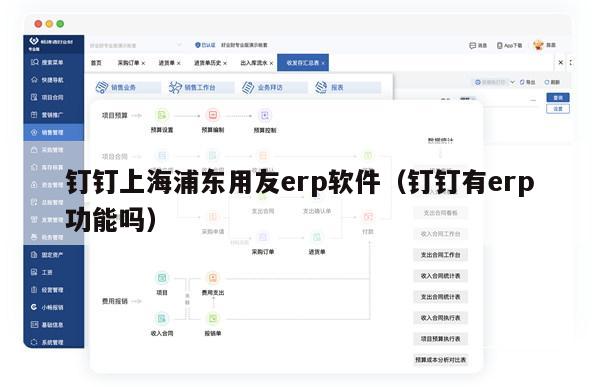 钉钉上海浦东用友erp软件（钉钉有erp功能吗）