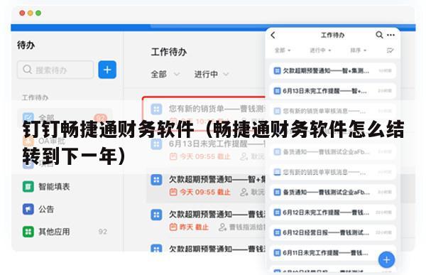 钉钉畅捷通财务软件（畅捷通财务软件怎么结转到下一年）