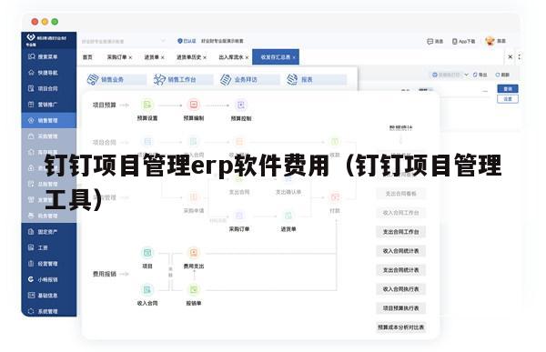 钉钉项目管理erp软件费用（钉钉项目管理工具）