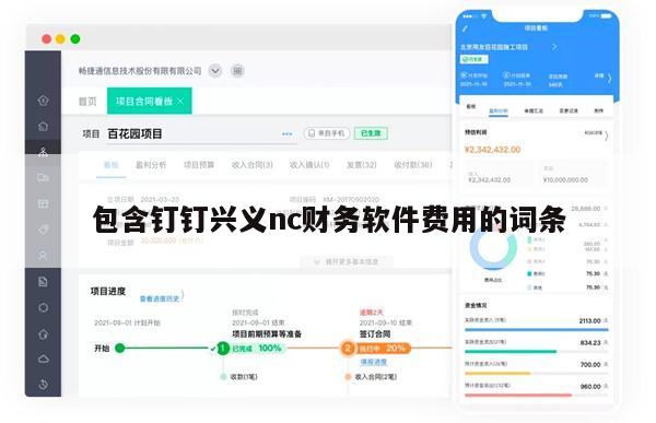 包含钉钉兴义nc财务软件费用的词条