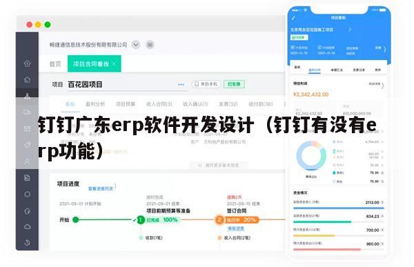 钉钉广东erp软件开发设计（钉钉有没有erp功能）