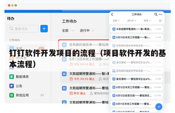 钉钉软件开发项目的流程（项目软件开发的基本流程）