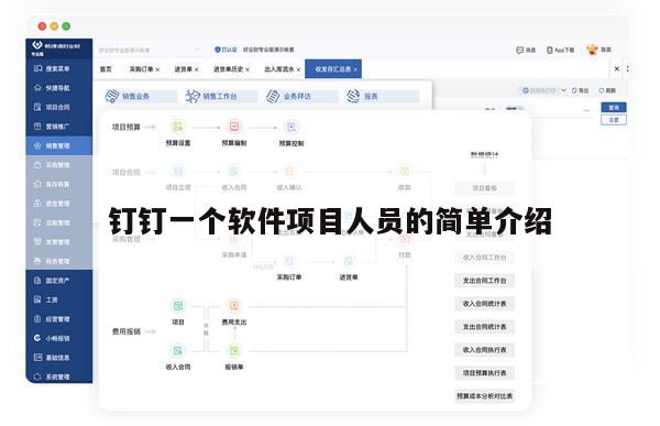 钉钉一个软件项目人员的简单介绍