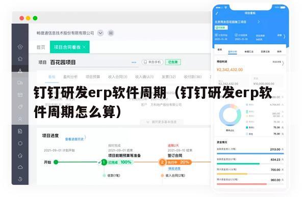 钉钉研发erp软件周期（钉钉研发erp软件周期怎么算）