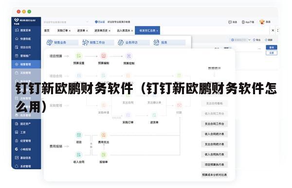 钉钉新欧鹏财务软件（钉钉新欧鹏财务软件怎么用）