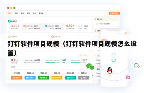 钉钉软件项目规模（钉钉软件项目规模怎么设置）