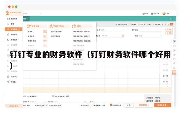 钉钉专业的财务软件（钉钉财务软件哪个好用）