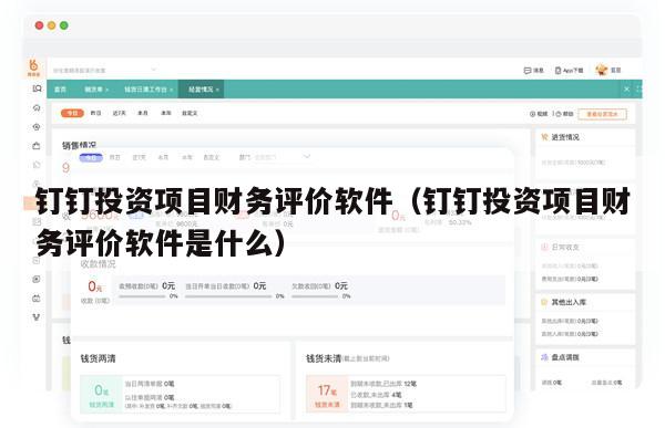 钉钉投资项目财务评价软件（钉钉投资项目财务评价软件是什么）