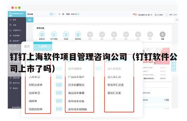 钉钉上海软件项目管理咨询公司（钉钉软件公司上市了吗）
