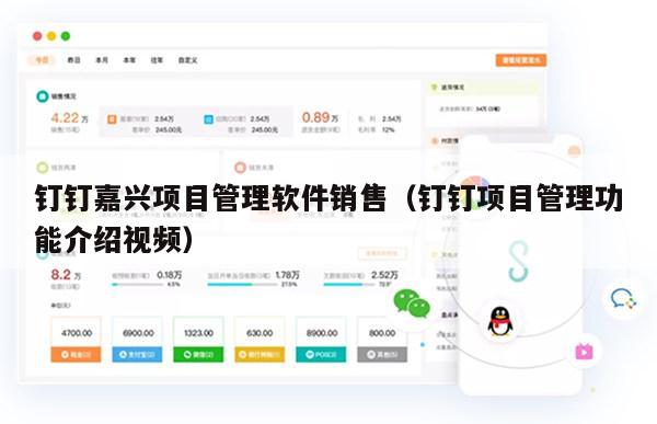 钉钉嘉兴项目管理软件销售（钉钉项目管理功能介绍视频）