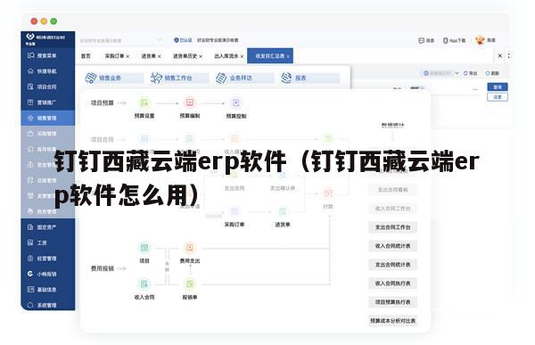 钉钉西藏云端erp软件（钉钉西藏云端erp软件怎么用）