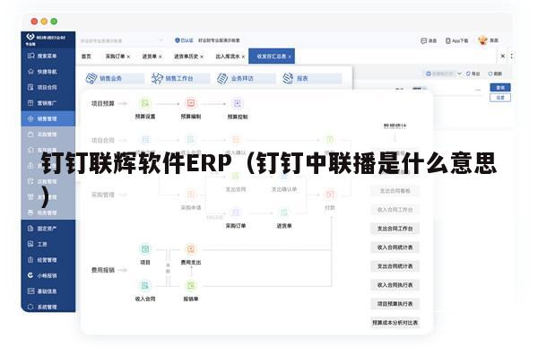 钉钉联辉软件ERP（钉钉中联播是什么意思）