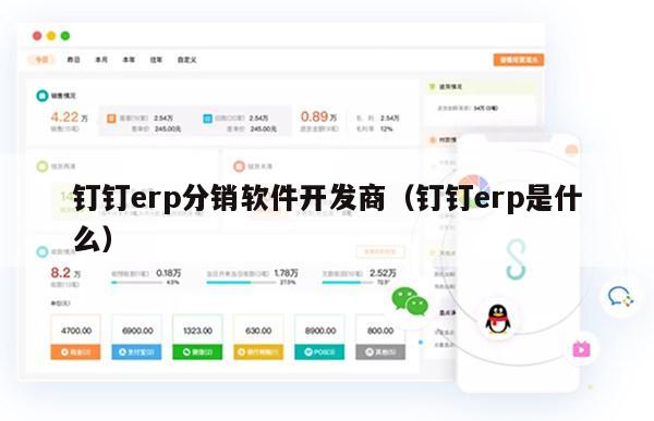 钉钉erp分销软件开发商（钉钉erp是什么）