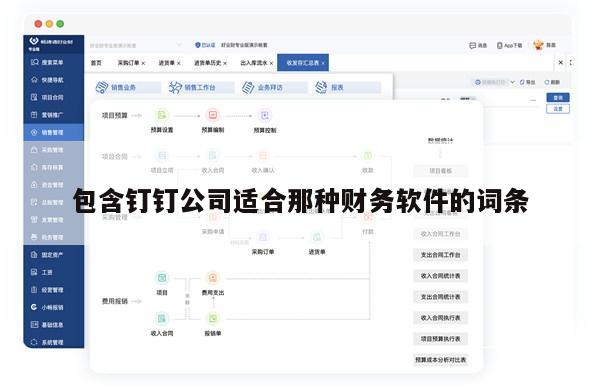 包含钉钉公司适合那种财务软件的词条