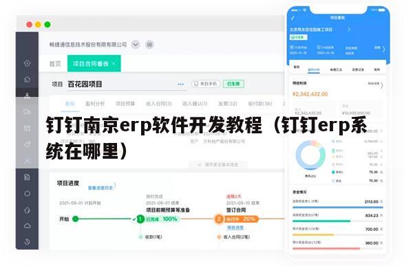 钉钉南京erp软件开发教程（钉钉erp系统在哪里）