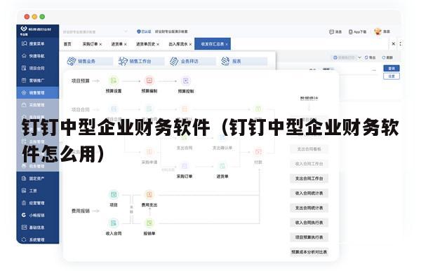 钉钉中型企业财务软件（钉钉中型企业财务软件怎么用）