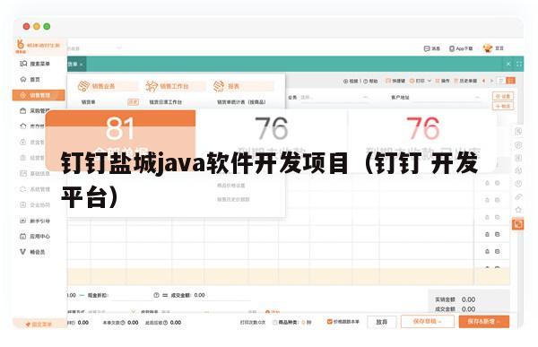 钉钉盐城java软件开发项目（钉钉 开发平台）