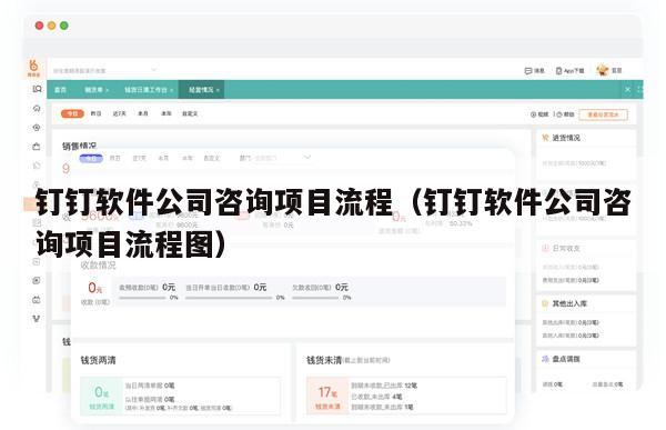 钉钉软件公司咨询项目流程（钉钉软件公司咨询项目流程图）