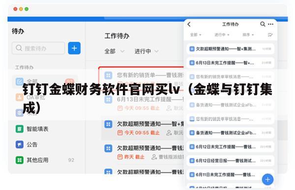 钉钉金蝶财务软件官网买lv（金蝶与钉钉集成）