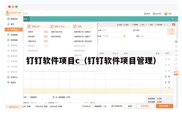 钉钉软件项目c（钉钉软件项目管理）