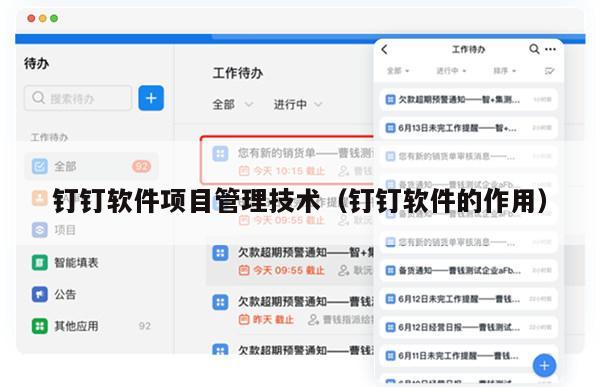 钉钉软件项目管理技术（钉钉软件的作用）