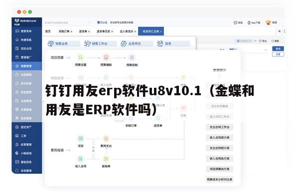 钉钉用友erp软件u8v10.1（金蝶和用友是ERP软件吗）