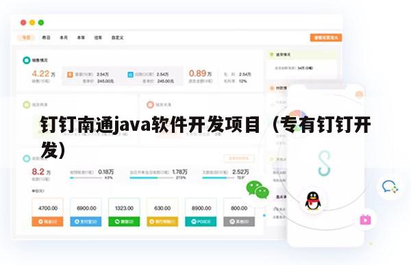 钉钉南通java软件开发项目（专有钉钉开发）