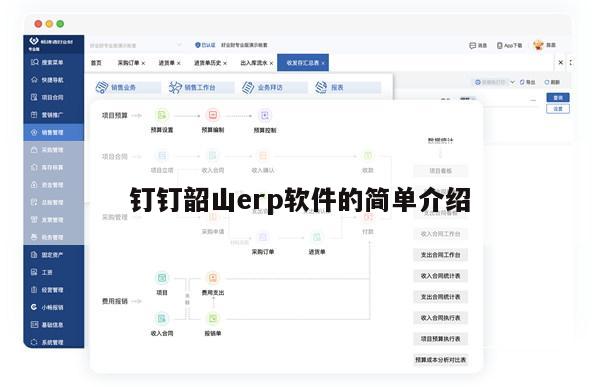 钉钉韶山erp软件的简单介绍