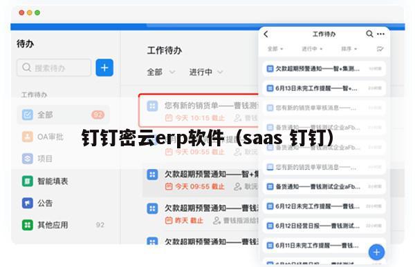 钉钉密云erp软件（saas 钉钉）