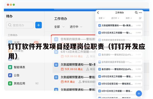 钉钉软件开发项目经理岗位职责（钉钉开发应用）