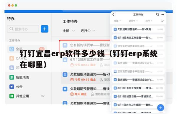 钉钉宜昌erp软件多少钱（钉钉erp系统在哪里）